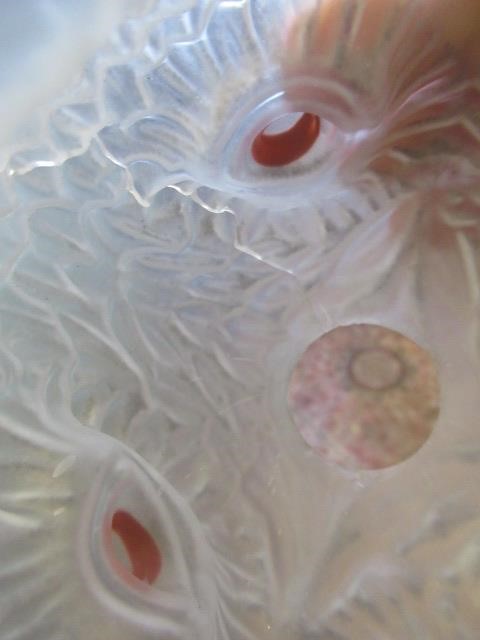 COLLECTION OF CLARKES FAIRY AND CRICK LITES ETC Image