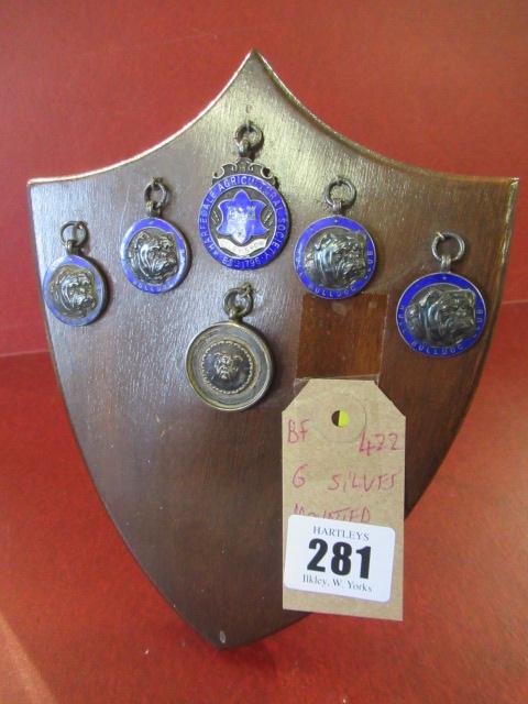 SIX SILVER MOUNTED AWARDS Image
