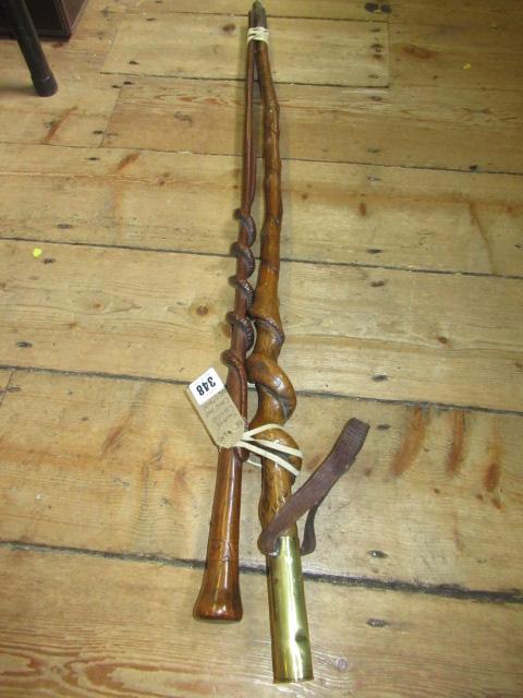 SNAKE WALKING CANE AND ANOTHER Image