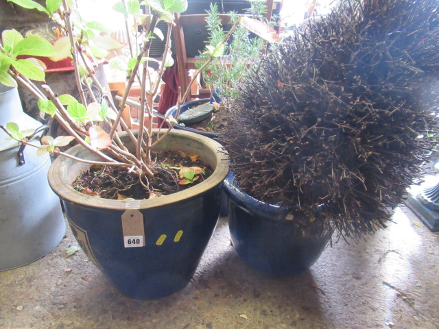 THREE PLANT POTS Image