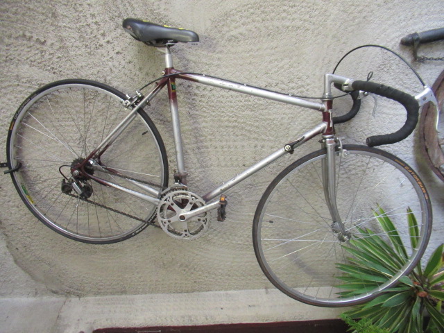 GENTS RACING BIKE Image