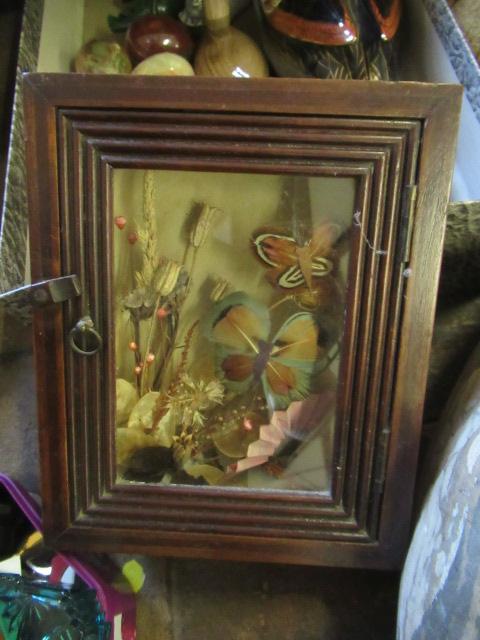 MAHOGANY CASED FEATHER AND FLOWER DISPLAY Image