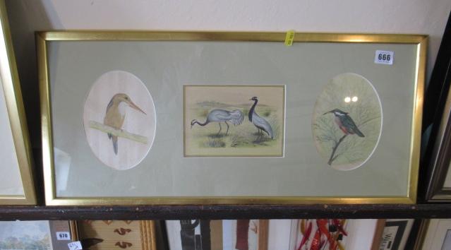 THREE AUSTRALIAN BIRD WATERCOLOURS IN SINGLE FRAME Image