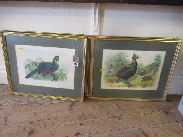 FOUR EXOTIC BIRD PRINTS Image