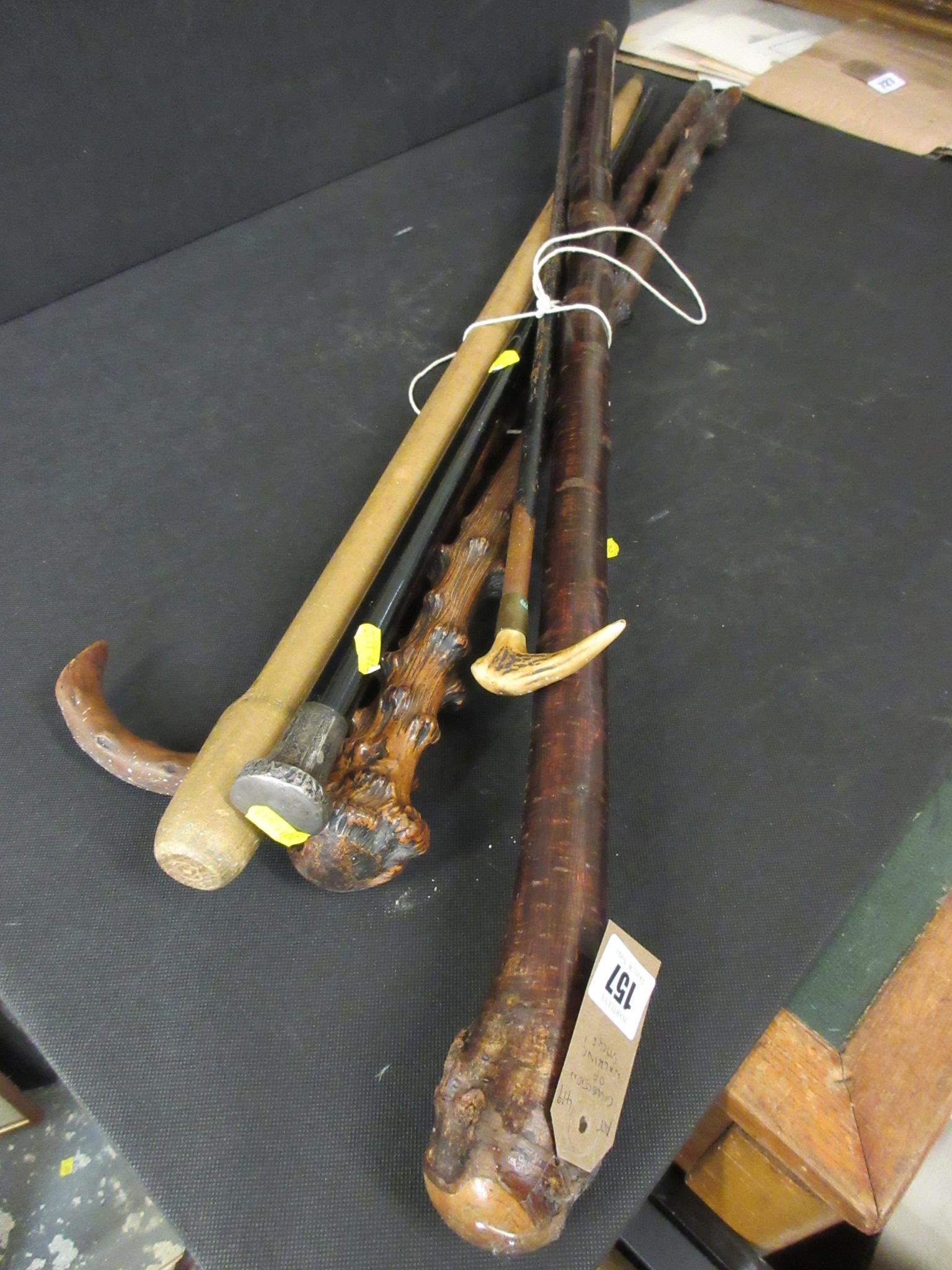 QUANTITY OF WALKING STICKS Image