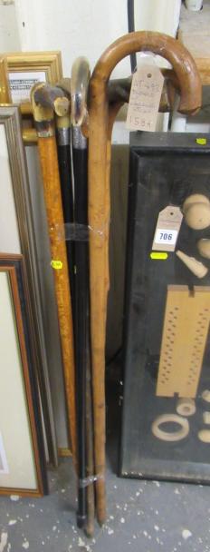 BUNDLE OF WALKING STICKS Image