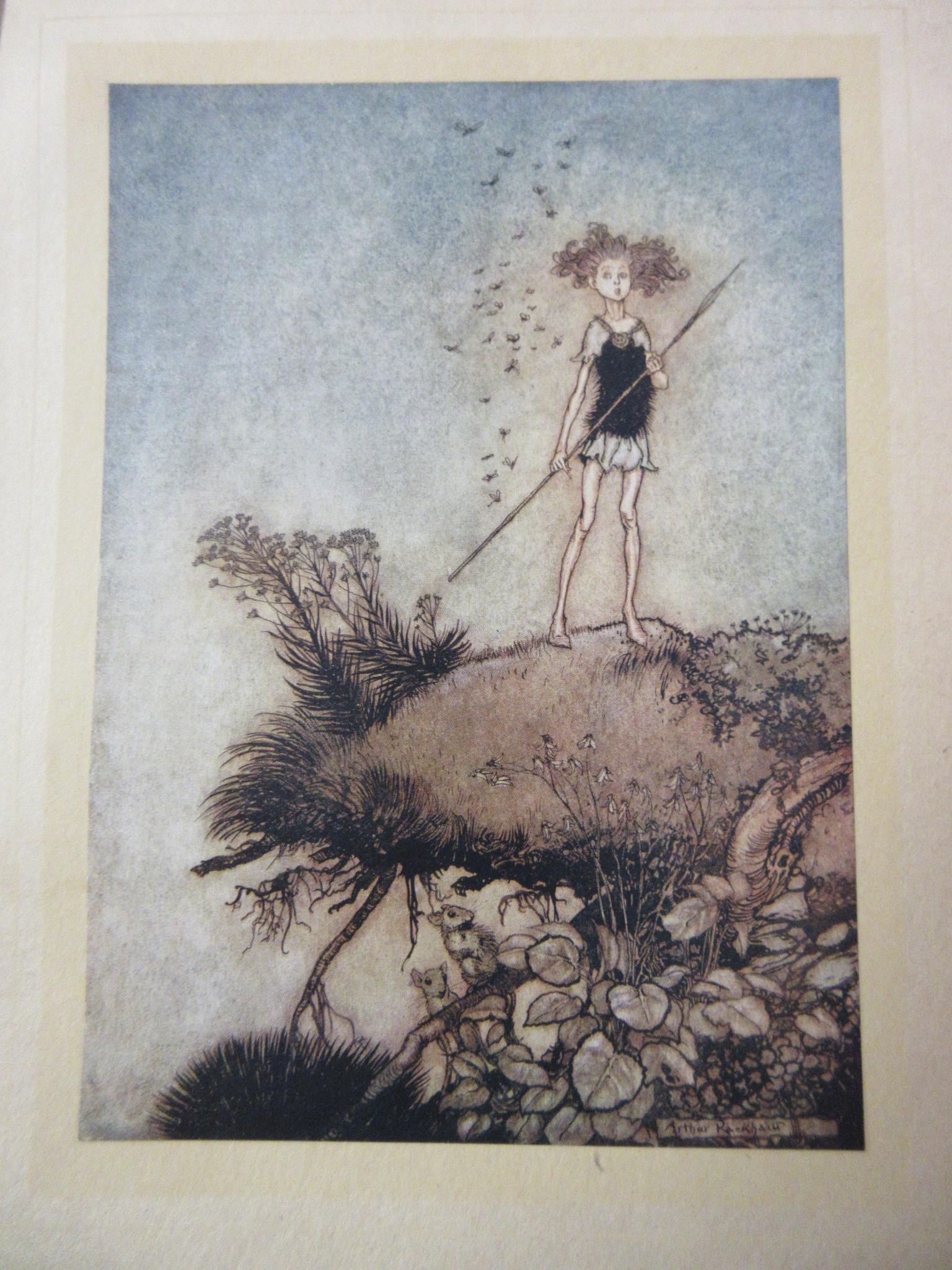 1912 EDITION OF A MIDSUMMER NIGHTS DREAM ILLUSTRATED BY ARTHUR RACKHAM Image