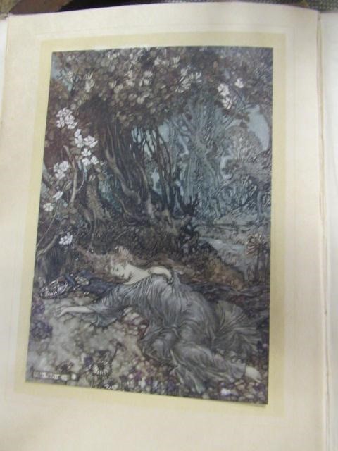 1912 EDITION OF A MIDSUMMER NIGHTS DREAM ILLUSTRATED BY ARTHUR RACKHAM Image