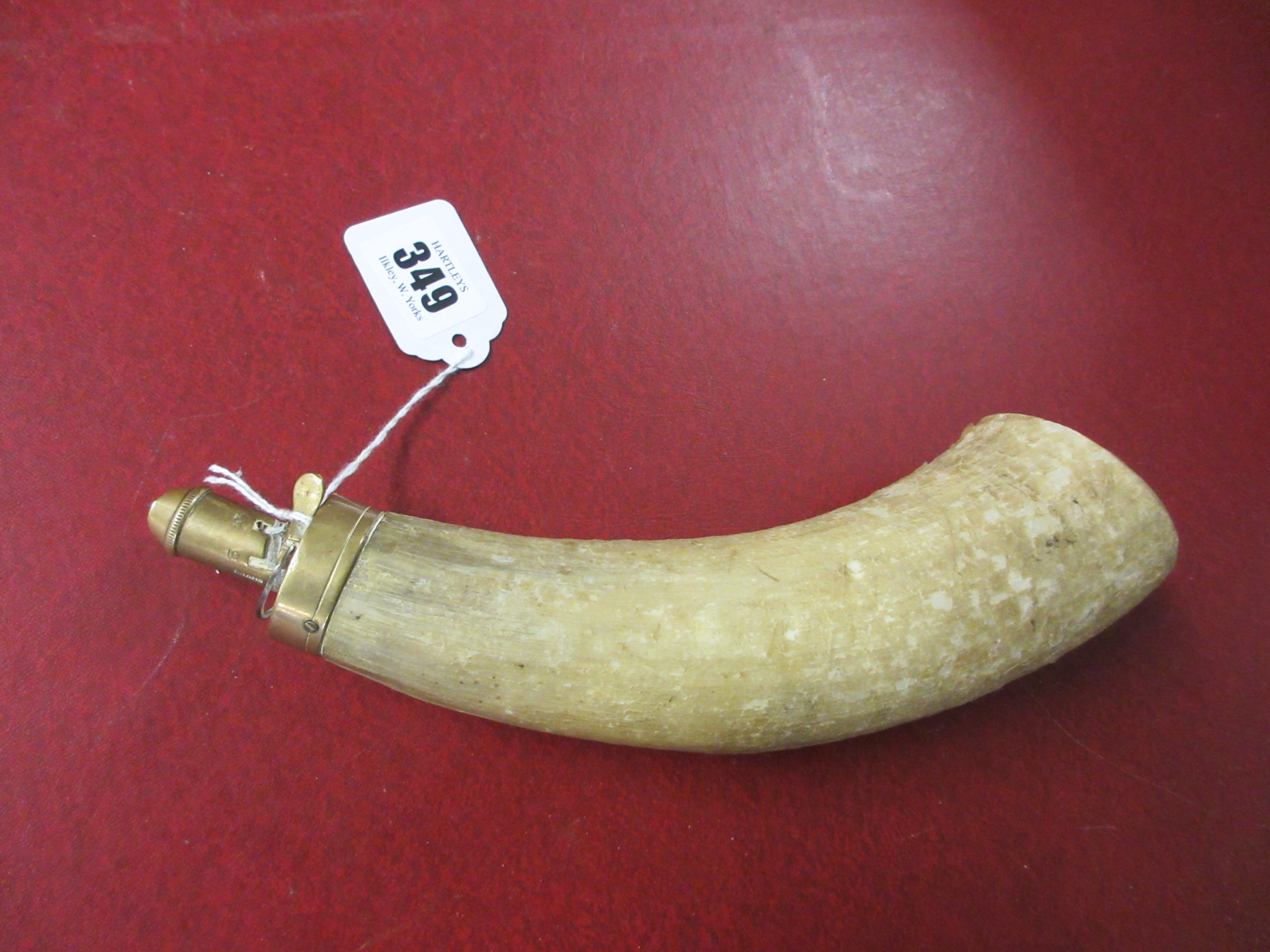 HORN POWDER FLASK Image