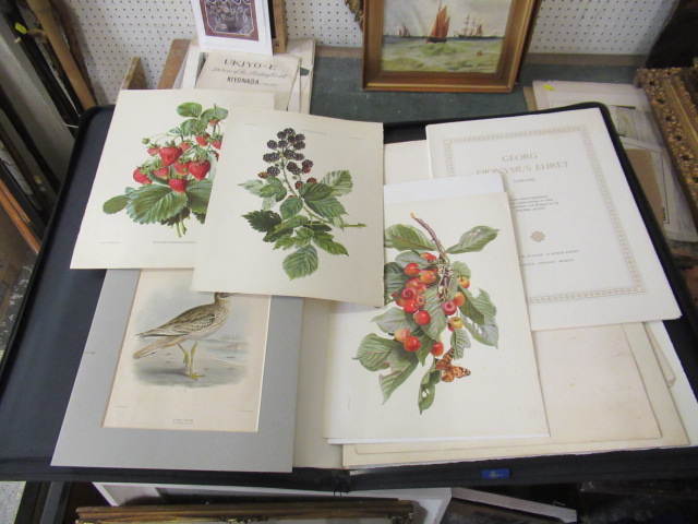 FOLIO OF UNFRAMED PRINTS Image