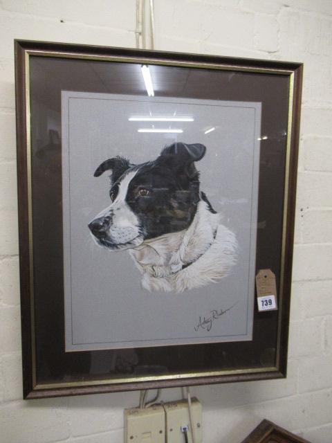 DOG WATERCOLOUR BY ANDY RHODES Image
