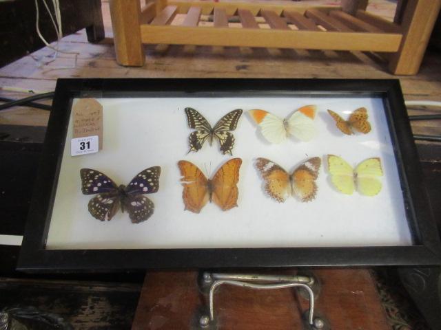 FRAME OF BUTTERFLIES Image