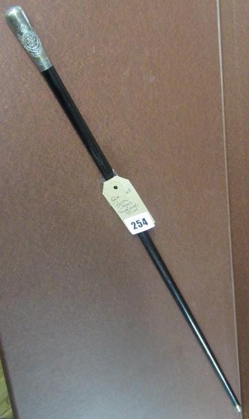 SILVER TIPPED SWAGGER STICK Image