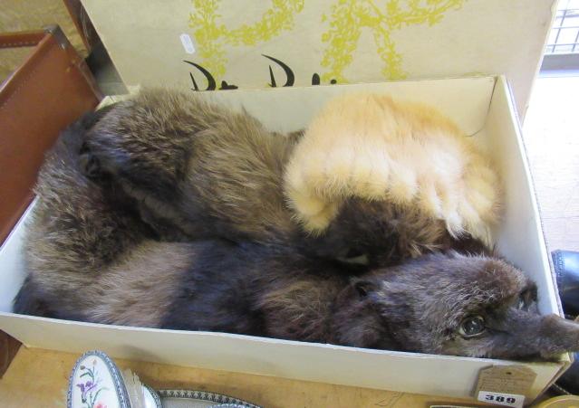 VINTAGE DRESS BOX WITH DOUBLE FOX FUR STOLE AND MINK HAT Image