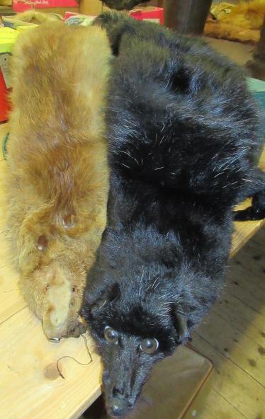 TWO FOX FUR STOLES Image