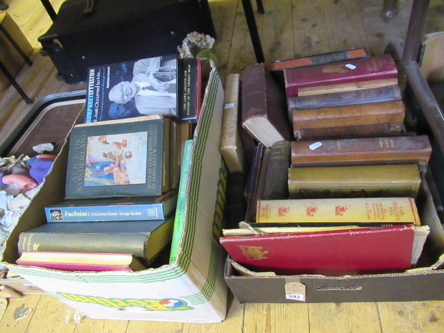 TWO BOXES OF BOOKS Image