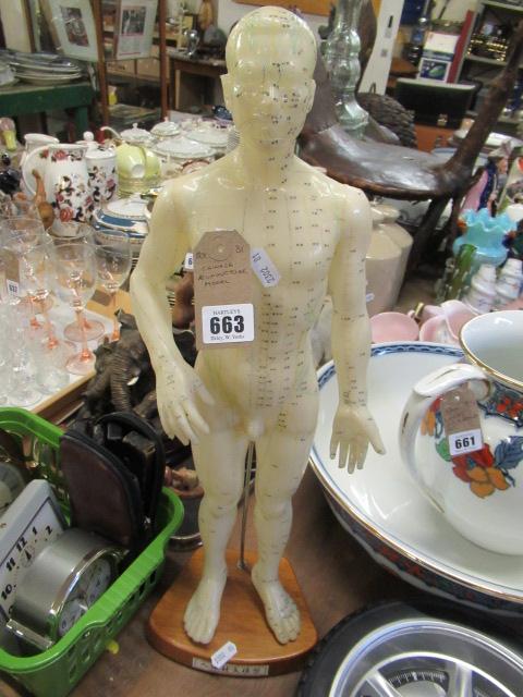CHINESE ACUPUNCTURE MODEL Image