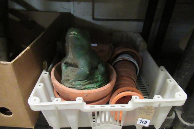 TERRACOTTA POT AND A FROG Image