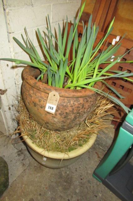 TWO PLANT POTS Image