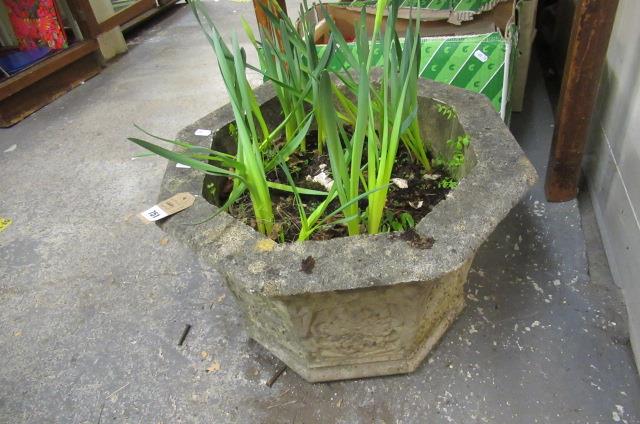 PLANTER Image