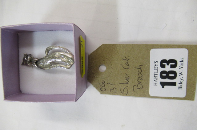 SILVER CAT BROOCH Image