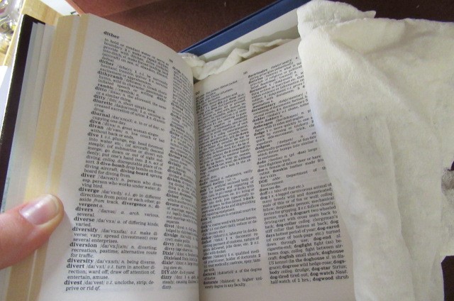 SILVER AND LEATHER BOUND DICTIONARY Image