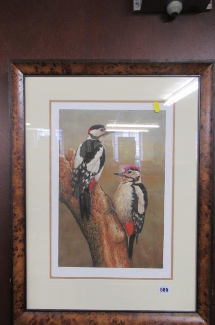 SIGNED WOODPECKER PRINT Image