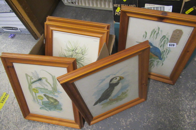 BOX OF BIRD PRINTS Image