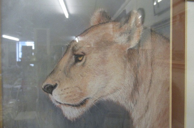 JANICE MCGOINE PASTEL Image