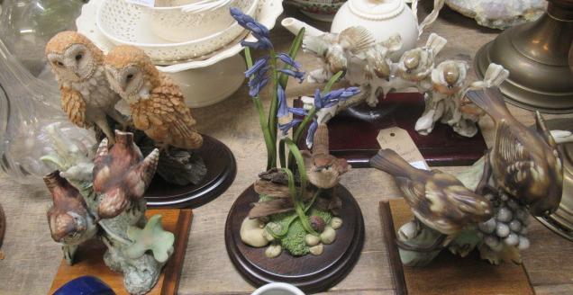 QUANTITY OF ORNITHOLOGICAL MODELS Image