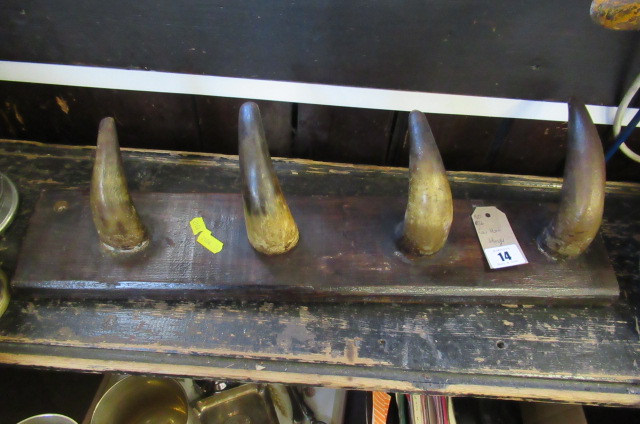 COW HORN HANGERS Image