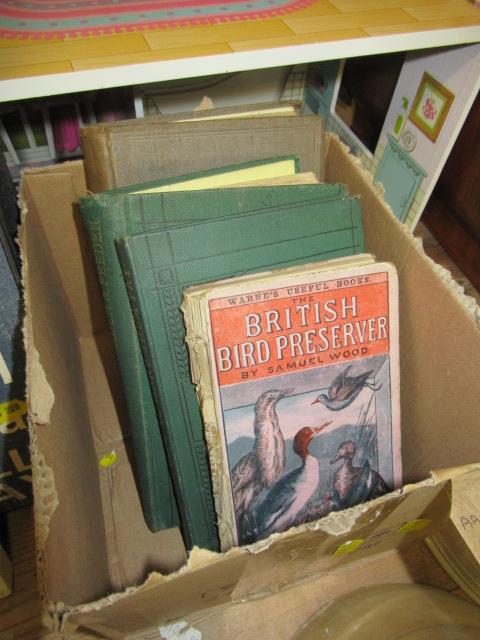 FOUR VICTORIAN NATURE BOOKS Image