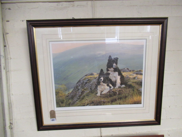 SIGNED LIMITED EDITION SHEEPDOG PICTURE Image