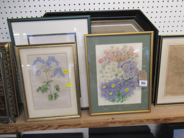 FIVE FLOWER PICTURES Image