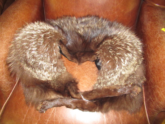 FOX FUR STOLE Image