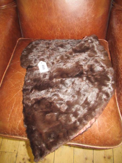 DARK FUR STOLE Image