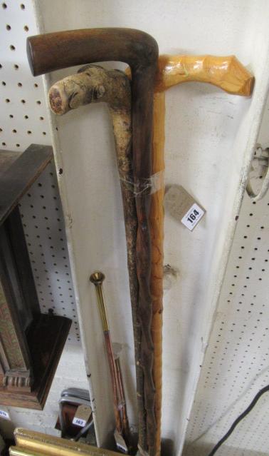 THREE WALKING STICKS Image