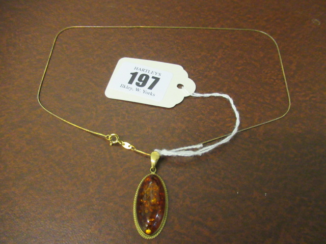 AMBER PENDANT ON 9CT GOLD CHAIN Image