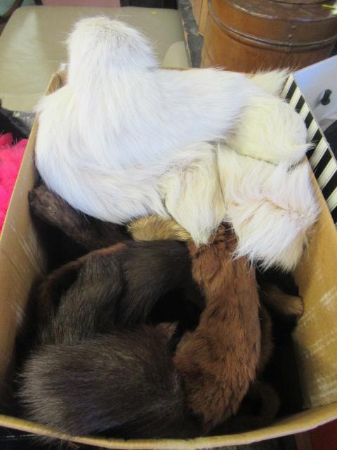 BOX OF FUR STOLES AND COLLARS ETC Image