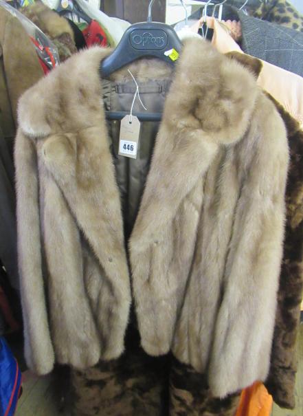 MINK JACKET Image