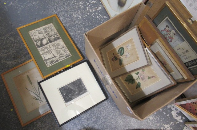 BOX OF PICTURES Image