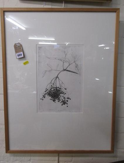 FRAMED ETCHING Image