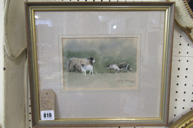 BRIAN IRVING WATERCOLOUR AND CRAYON OF SHEEP WITH COLLIE DOG Image