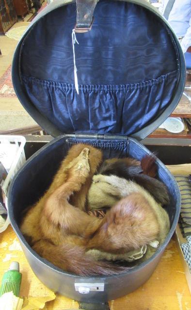 VINTAGE HAT BOX AND FUR COLLARS Image