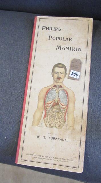 PHILLIPS POPULAR MANIKIN Image