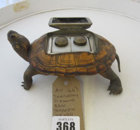 TAXIDERMY DIAMOND BACK TERRAPIN INKWELL Image