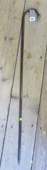 SILVER MOUNTED WALKING CANE Image