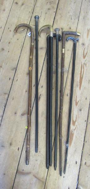 SILVER TOPPED AND OTHER WALKING STICKS Image