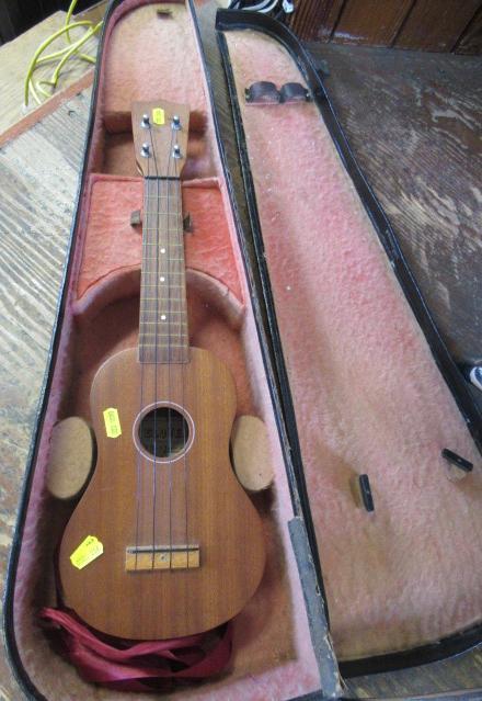 CASED UKELELE Image