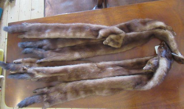 MINK STOLE Image